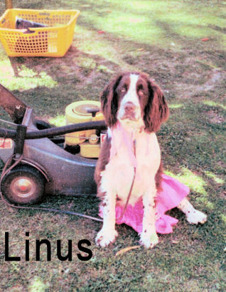 Linus