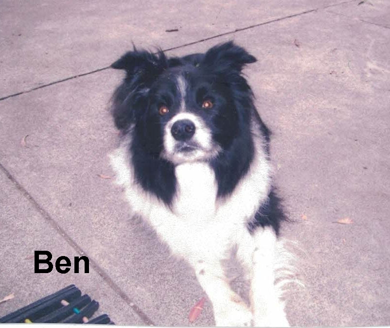 Ben